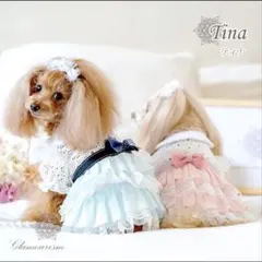 犬服 グラマーイズム　Tina SSサイズ（ブルー）のサムネイル