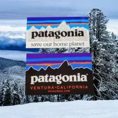 パタゴニア ストリート系スポーツ