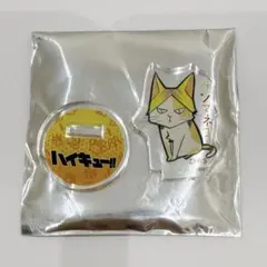 孤爪研磨 アクリルminiフィギュア 動物Ver.第1弾 ケンマネコ ハイキュー