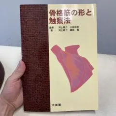 骨格筋の形と触察法