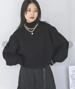 JEANASIS Wフェイスフトリブショートハイネック ブラック