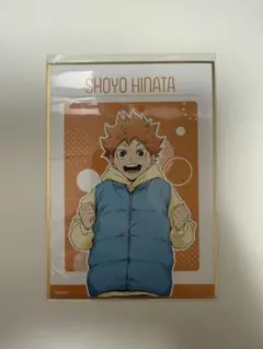 ハイキュー 日向翔陽 ヨーショー 缶バッジ クリアカード セット 日向 ハイキュー ヨーショー グリッター缶バッジ クリアカード セット