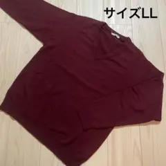 ＊WORLD CUP：サイズLL：カシミヤのエンジ色のニット：Vネック＊