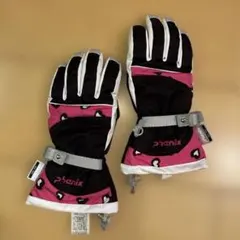 スキーグローブ