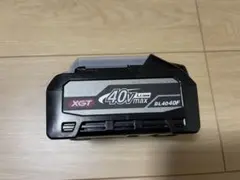 Item thumbnail for item ba5e1510-5d0f-4e76-9666-11d77282b289