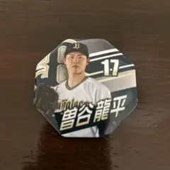 Item thumbnail for item 043b2272-da5d-476c-84e9-d8fac3ee2307