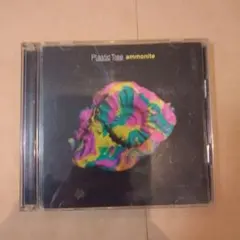 Plastic Tree ammonite DVD付
