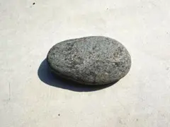 Item thumbnail for item 956ea3ee-8156-42d1-a0bf-2f66c8b3b1bc