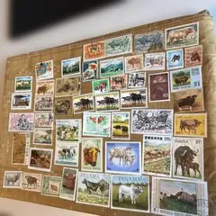 めけてぃ様 リクエスト 2点 まとめ商品