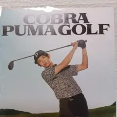 USプーマ コブラ 19マスターズ仕様 カモポロ グレーL 特注刺繍入り 新品1円～ LIZHIQI 韓国ブランド 韓国レディース服 綿素材のワンピース