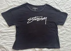 Stüssy ロゴプリント 半袖Tシャツ ブラック Mサイズのサムネイル