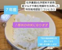 福井県産コシヒカリ 化学農薬&化学肥料不使用 玄米 9.5kg ２番米