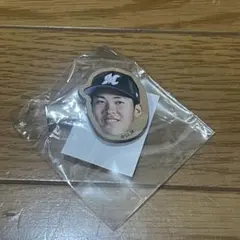 Item thumbnail for item 140183c7-5af7-4133-9334-e36cbf097ab1