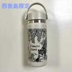 今だけ値下げ】日本未入荷 hydroflask seasalt 32oz - メルカリ