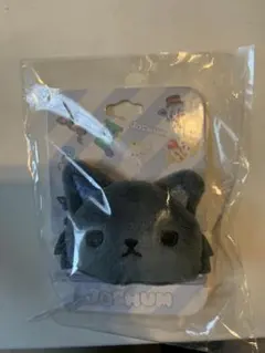 JOCHUM ピーハイ ヘアゴム JO1 金城碧海