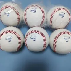 npb実使用ボール坂本誠士郎サインボール阪神タイガース世界に1つ