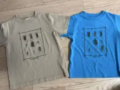 モンベル　昆虫Tシャツ 2枚セット 110 120