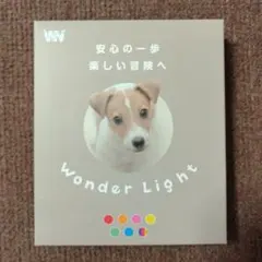 Item thumbnail for item 5c095610-34d1-4c91-baca-54088b617eee