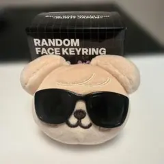 Stray Kids RANDOM FACE KEYRING パピーム
