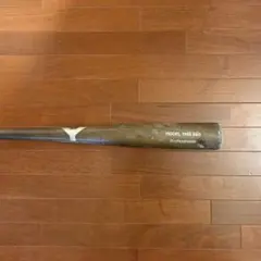 Item thumbnail for item dd90e53f-f28c-4f48-9c86-60eac6962655