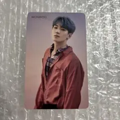 SEVENTEEN 舞い落ちる花びら HMV特典トレカ ウォヌ