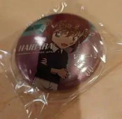 名探偵コナン ユニバ USJ コレクタブル缶バッジ2026 灰原哀