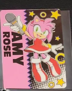 ソニック・ザ・ヘッジホッグ ラウンドワン フォトメタルカード エミー