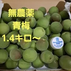 ヨゴリーノ様専用