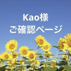 Kao様 リクエスト 2点 まとめ商品