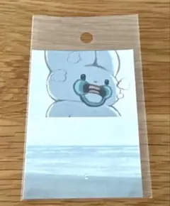 beco+81 しりみみうさぎ ステッカー