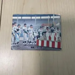 カルビープロ野球カード　1973年　南海ホークス
