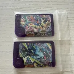 ポケモンフレンダ　ベストタッグ3弾 ザシアン　メガリザードンX トレジャー