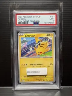 PSA8】ピカチュウ ジム プロモ 第1弾 S-P 024 ソード&シールド - メルカリ
