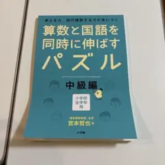 【新品未使用品】算数と国語を同時に伸ばすパズル 中級編