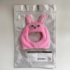 SKZOO ペンライトカバーver.2 トェッキ チャンビン