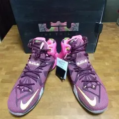 モモッチ様専用。未使用品 Nike LeBron 12 ナイキレブロン 12