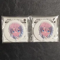 【未開封】バンドリ　氷川日菜　アクリルパネル　信澤収展　受注生産品 信澤収展アクリルパネル BanG Dream! Pastel＊Palettes｜商品