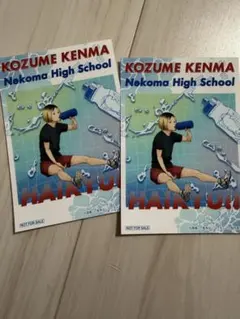ハイキュー!! クールダウンフェア 特典 ブロマイド 孤爪研磨音駒