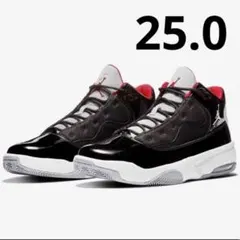 ナイキ　ジョーダン マックス オーラ 2 スニーカー　25.0 バッシュ