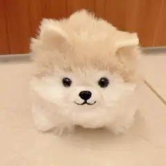 ころりんわんこのモフまる シベリアンハスキー モフスキー