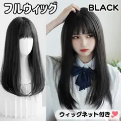 フルウィッグ　ロング　ストレート　ブラック　黒　ウィッグ　かつら　耐熱のサムネイル