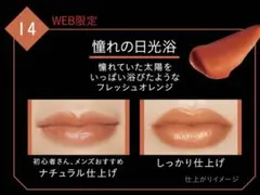 KATEリップモンスター 14憧れの日光浴