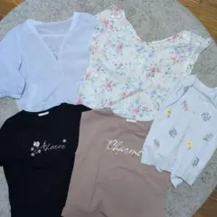 美品　WILLSELECTION ウィルセレクション カットソー　5枚まとめてのサムネイル