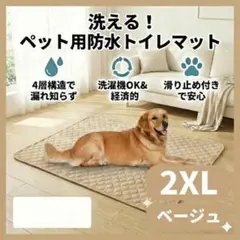 Item thumbnail for item 6d08a634-63dc-45b1-9e2b-05f8affa7a49