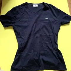 LACOSTE Vネック Tシャツ 42