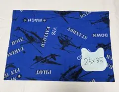 Item thumbnail for item 21c619c4-29b4-48bd-889c-087bc0fbe30e