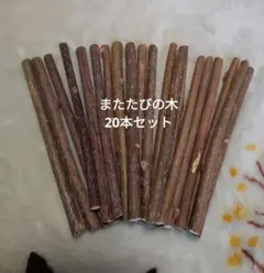 Item thumbnail for item a1d4a142-cdc4-48f1-88d4-59e05f1571aa