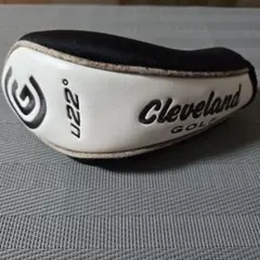 Item thumbnail for item 546d7a6c-8403-41da-9347-7f3f798f901e