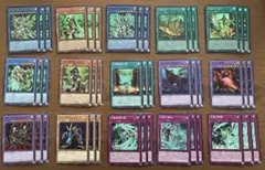 遊戯王　グロリアスヴィクターズ　セネト　パーツ