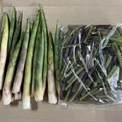 山菜ミズ根っこ付き800㌘以上になります。 - メルカリ